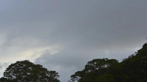 Time Lapse, Monsoon cloud storm turbulence sweeps over forest landscape Stock Footage 93117007