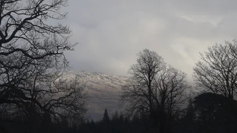 Time lapse of moody sky and bare trees Stock-Footage 71387895