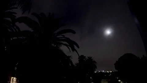 Time-lapse of the Moon and Palm Trees Stock Footage 157726426