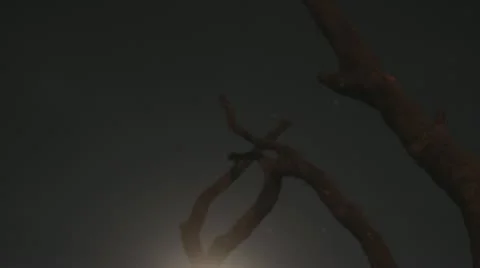 Time lapse Moon clouds Stock Footage 11631965