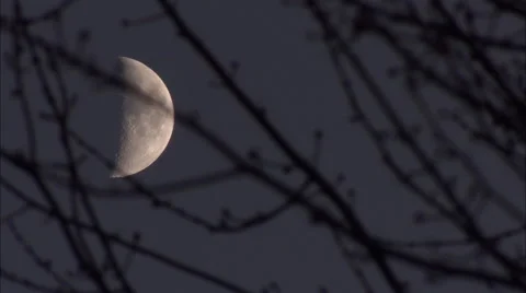 Time Lapse of Moon in Front of Tree Branches HD Video Stock Footage 57964876