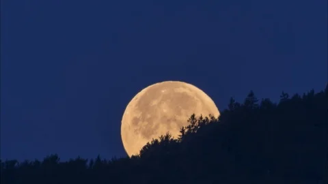 Time lapse moon moves behind the forest hill Stock-Footage 120990424