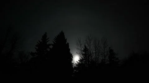 Time lapse of moon moving slowly through the trees with a very dark sky. Stock Footage 221572782