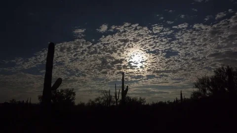 Time lapse of the moon obscured by clouds over desert saguaro cactus Stock Footage 80783228