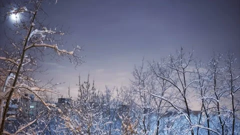 Time Lapse of moon rise behind a trees Stock Footage 85616438
