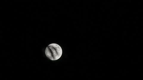 Time-Lapse Of A Moon Rising Behind The Trees Stock Footage 142282795