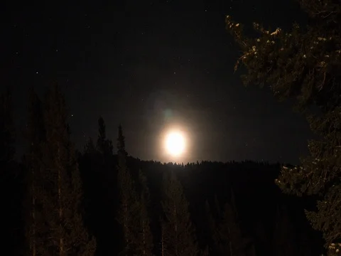 Time-lapse of moon rising over mountain and the leaving frame behind trees Stock Footage 73050225