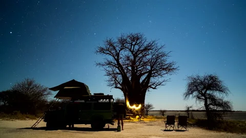 Time lapse of the moon setting behind Baobab trees and campers in Botswana Stock Footage 163204504