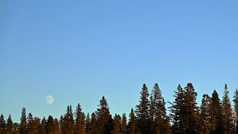 Time lapse of the moon slowly rising in a clear blue evening sky  Stock Footage 224367514