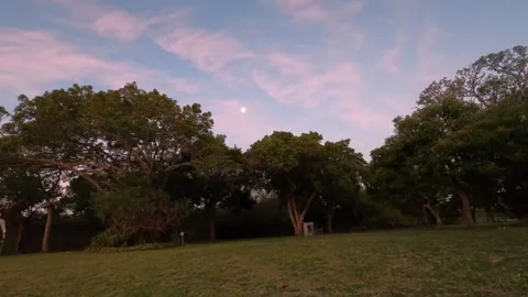 Time-lapse of moonrise over trees with thin clouds, 4K aerial video. Stock Footage 317010186
