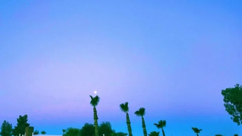 Time Lapse Morning Moon Set Over Building and Palm Trees Stock-Footage 338255690