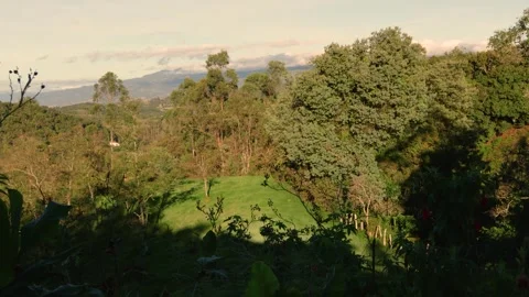 Time-lapse of the morning sunlight moving  over the forest and fields of the  Stock Footage 281904513