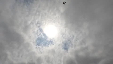 Time Lapse Motion Background - White Clouds Flying On Blue Sky with Sun Rays Stock Footage 247679823