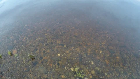 Time lapse motion jitter of flow of clear water. Stock Footage 113323438