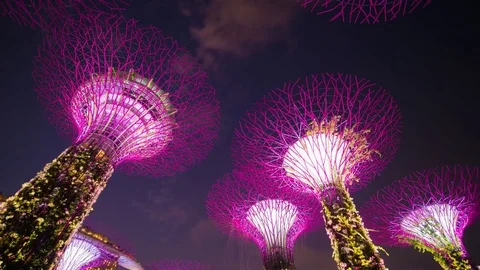 Time-lapse motion of light show of gardens by the bay at night, Singapore Stock Footage 81113741