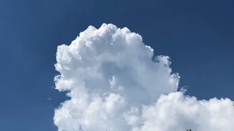 Time lapse, Motion movement with white fluffy clouds on blue sky. Stock Footage 95751415