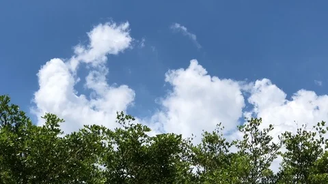 Time lapse, Motion movement with white fluffy clouds on blue sky. Stock Footage 95751508