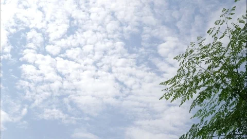 Time-lapse motion of puffy fluffy white clouds blue sky background. Stock Footage 123081363