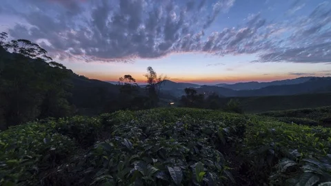 Time lapse motion sunrise scenery at green farm Cameron Highlands Stock Footage 114102691
