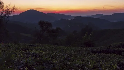 Time lapse motion sunrise scenery at green farm Cameron Highlands Stock Footage 114102696