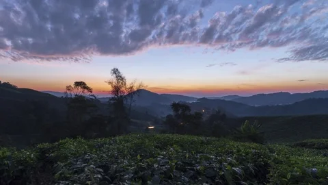 Time lapse motion sunrise scenery at green farm Cameron Highlands Stock Footage 114102708