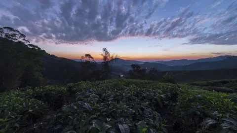 Time lapse motion sunrise scenery at green farm Cameron Highlands Stock Footage 114102712