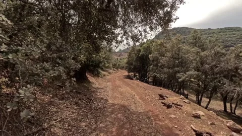 Time-lapse of the motorcycle driver  動画素材 245711210