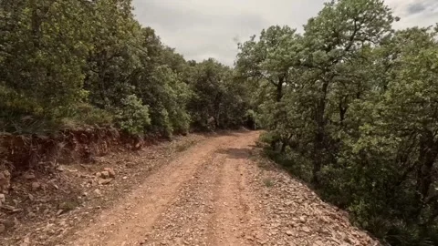 Time-lapse of the motorcycle driver  動画素材 245711375