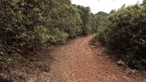 Time-lapse of the motorcycle driver  Stock Footage 245899913