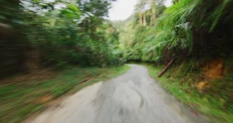 Time Lapse Motorcycle Mount Through The Cameron Highlands in Northern Malaysia Stock Footage 146669356