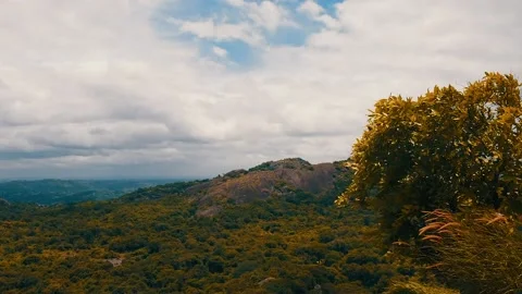 Time Lapse of a mountain and cloud orange trees Stock Footage 220739703