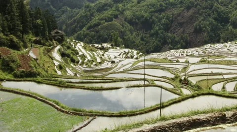 Time lapse of mountain and terraced rice field Stock Footage 63810059