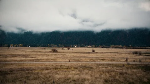 Time Lapse of Mountain Field with Elk Grazing in the Post-Rainstorm Breeze Stock Footage 90870247
