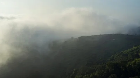 Time lapse Mountain forest  Stock Footage 97150767