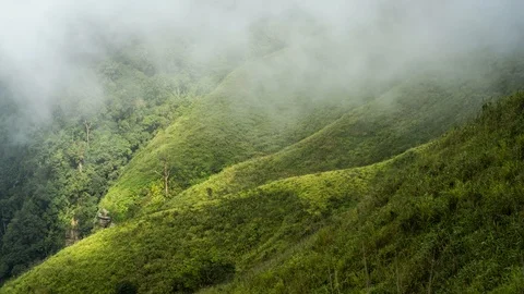 Time lapse Mountain forest  Stock Footage 97150794