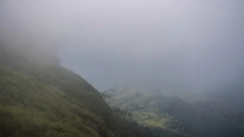 Time lapse Mountain forest Stock Footage 97150925