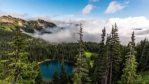 Time-Lapse of Mountain Lake and Forest in Mount Rainier National Park Stock Footage 332079406