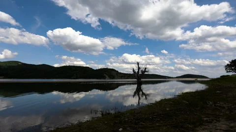 Time lapse of a mountain lake by its grassy coast Stock Footage 136874205