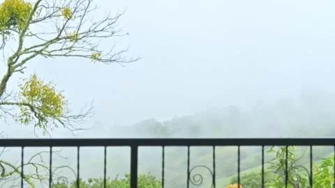 Time lapse of mountain landscape with a man looking phone at dawn. 動画素材 330215258