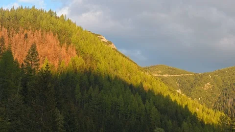 Time lapse of mountain range green peaks with coniferous forest trees crowns Stock Footage 121551302
