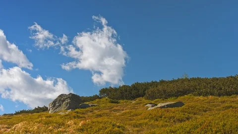 Time lapse of mountain range green peaks with coniferous forest trees crowns Stock Footage 121551852