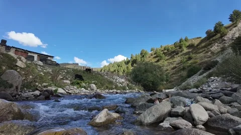 Time-Lapse A Mountain River Flowing Rapidly Among River Stones,Adjacent to a Video stock 288467586