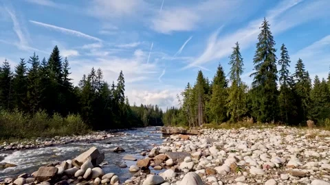 Time lapse. mountain river in forest. Tatry, Slovakia, Poland Stock Footage 252317272