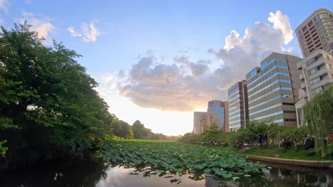 Time lapse of mountainous clouds and sunset of summer through the building Stock Footage 152407373