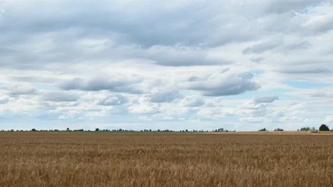 Time lapse of the movement of clouds over the field Stock Footage 201886544