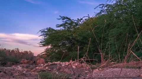 Time Lapse for the movement of clouds in Wadi Hanifa, Riyadh, Saudi Arabia Stock Footage 169991975