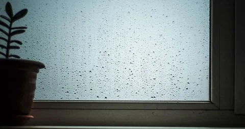 Time lapse on the movement of raindrops Stock-Footage 129572825