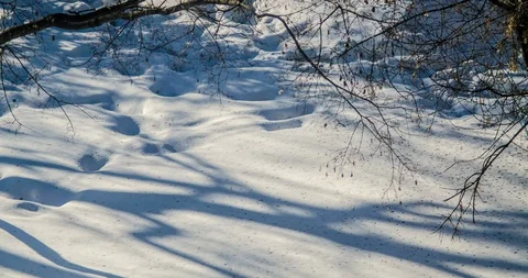 Time lapse of the movement of shadows Stock-Footage 129629817