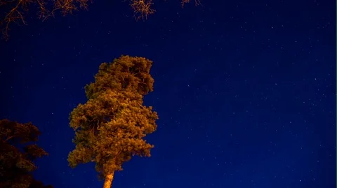 Time lapse the movement of the stars. Stock Footage 77172059
