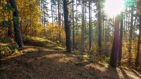 Time lapse the movement of the sun. Stock Footage 69953922